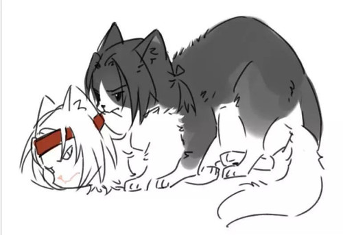 Image 203500648069591.jpg