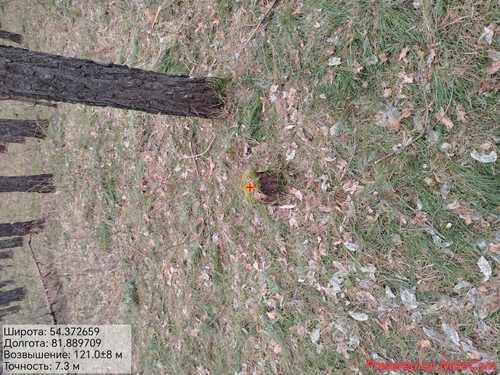 1000175260.jpg