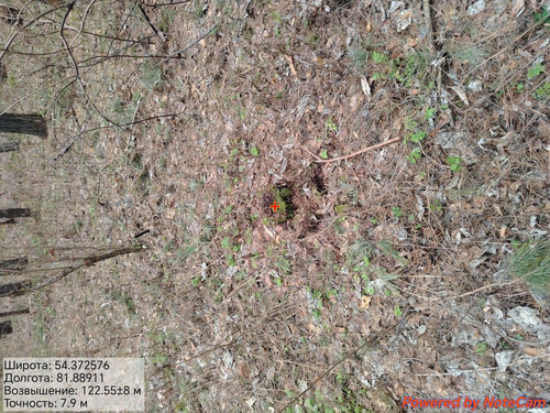 1000175276.jpg