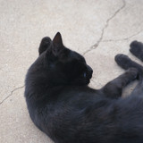 SONY DSC