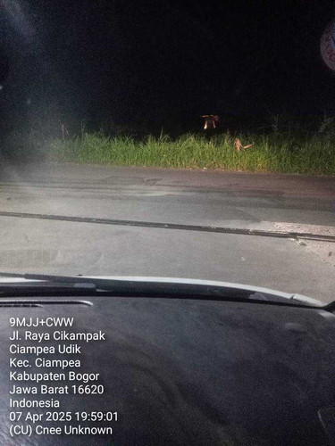 cu.jpg