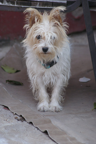 SONY DSC.jpg