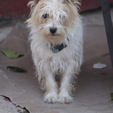 SONY DSC