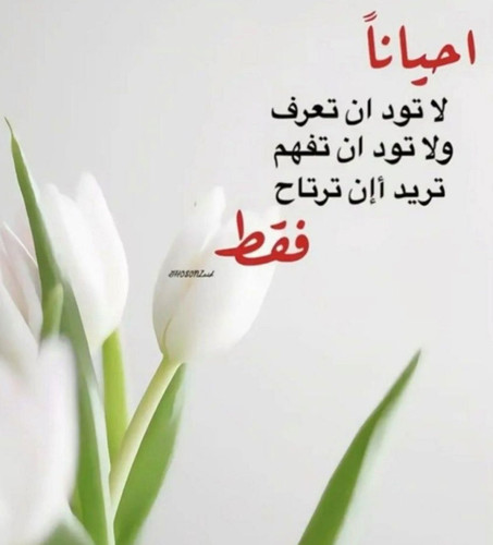 Gn87JJyXUAAJauI.jpg