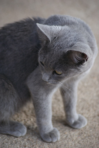 SONY DSC.jpg