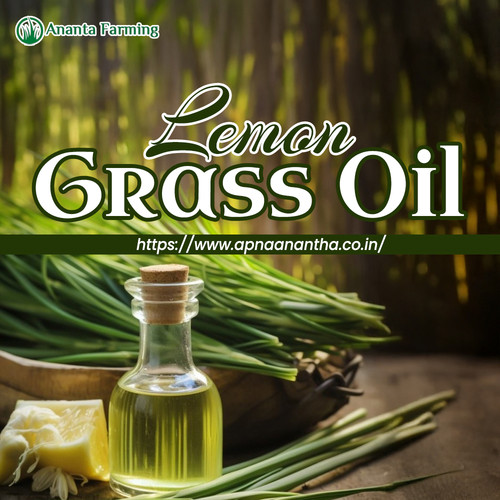 Largest Lemongrass Oil Manufacturer in Ranchi.jpg