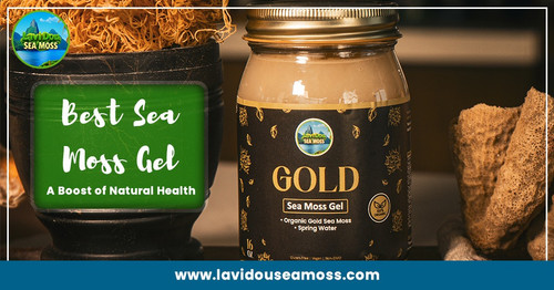 Best Sea Moss Gel  A Boost of Natural Health.jpg