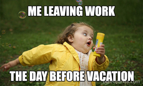 funny travel memes 220 5c92540781b81 700.jpg