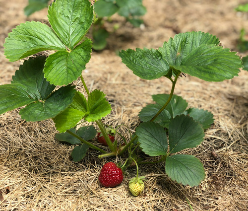 50m above NL8CRGOohM unsplash.jpg