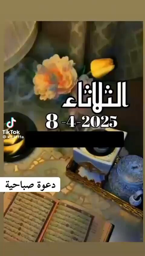 nYPAvaSBSR4qsefE.jpg