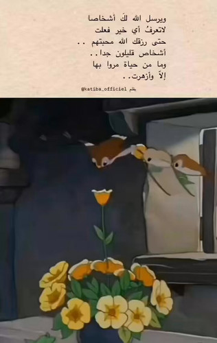 YK6npebnKOM3Nqrl.jpg