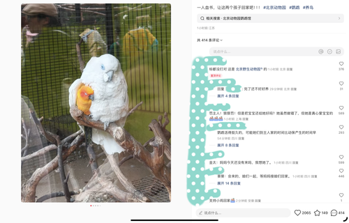 1000070496.png