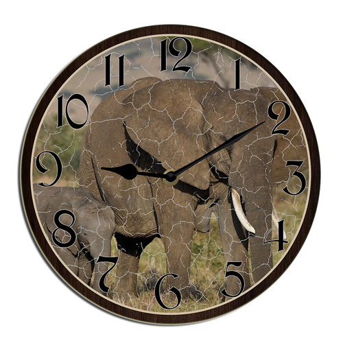 shcse0408wevuj 2.png