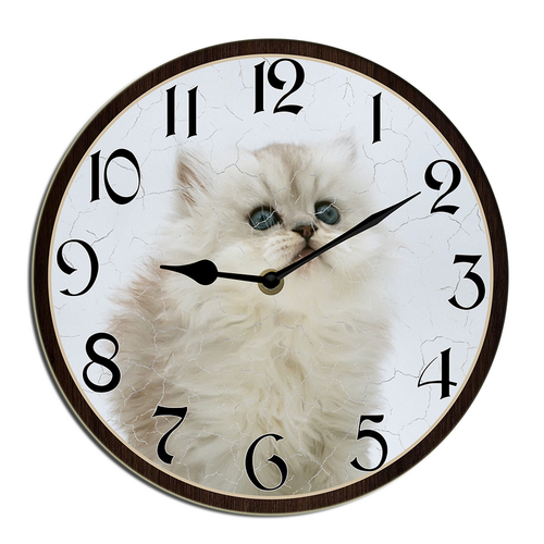shcse0408wevuj 29.png