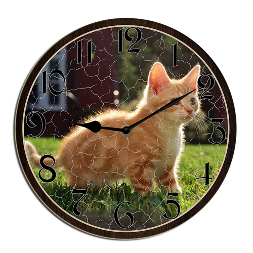 shcse0408wevuj 13.png