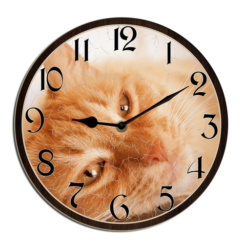 shcse0408wevuj 26.png