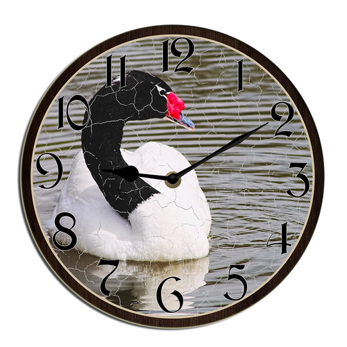 shcse0408wevuj 5.png