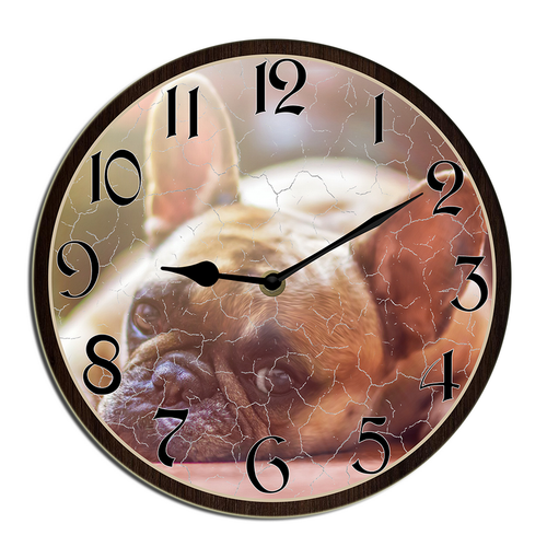 shcse0408wevuj 15.png