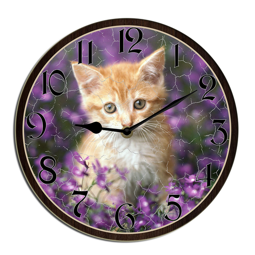 shcse0408wevuj 7.png