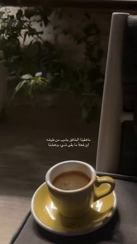 m6asHlge7GWEisp9.jpg