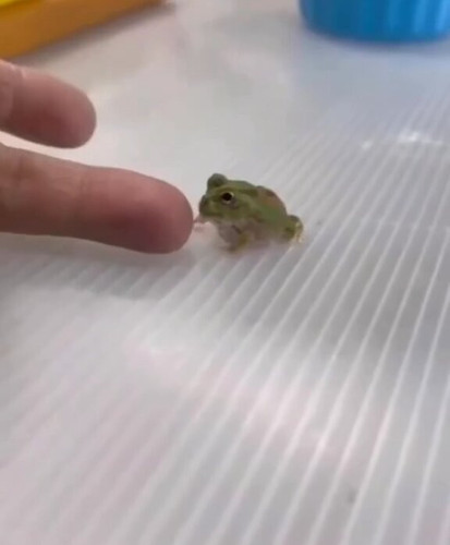 jj7 ij2LCj47D7mI.jpg