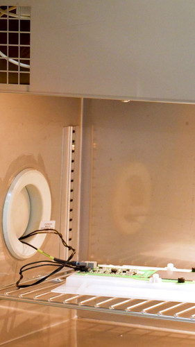 Lh kC0zA10A5 FL8.jpg