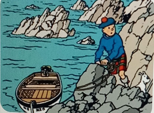 Tintin IMG 7274.jpg