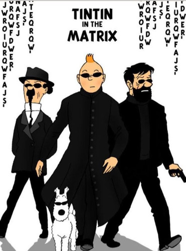 tintin in he matrix IMG 6141.jpg