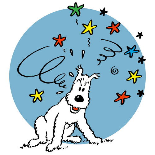 Tintin SNopwy IMG 6163.jpg