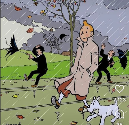 Tintin on a windy day IMG 6149.jpg