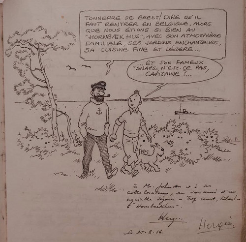 Tintine herge notes IMG 6134.jpg