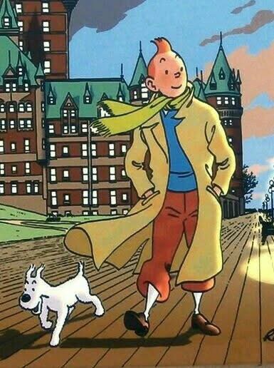 Tintin taking in the breeze IMG 6135.jpg
