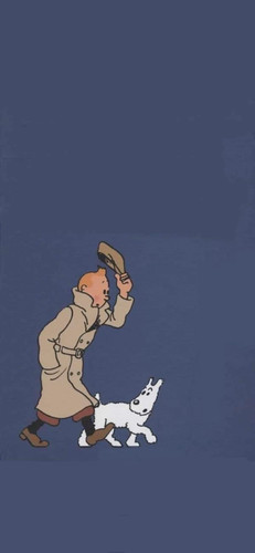 Tintin well wrapped up IMG 6146.jpg