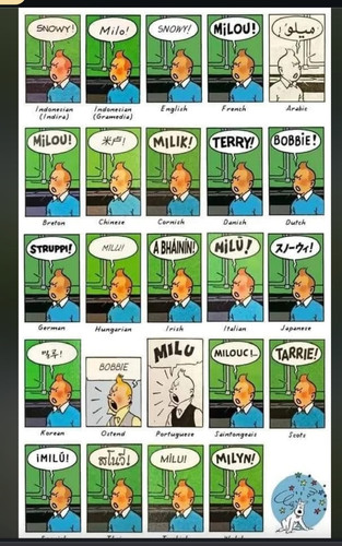 Tintin snowy in languages IMG 6150.jpg