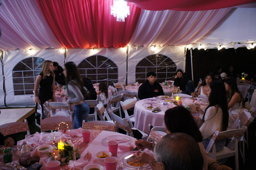 IMG 4442.jpg