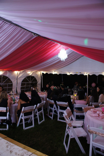 IMG 4650.jpg