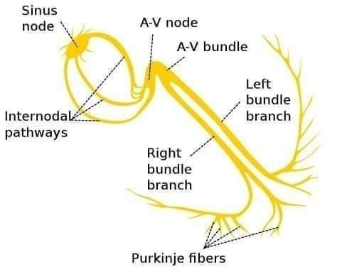 Gn8 mvfWYAAdHuF.jpg