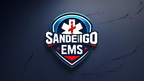 Leonardo Phoenix 10 Create a logo for the Emergency Medical Se 3 (1).jpg