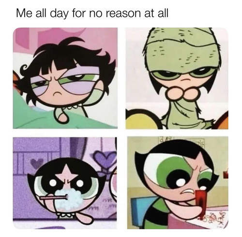 488819240 122120922938741818 6745115709092574998 n.jpg