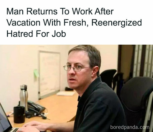 vacation memes 5 66a2361ec09d1 700.jpg