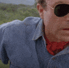 100.gif