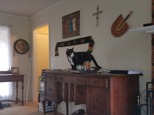 51163628 10156065859322078 5650604256181354496 n