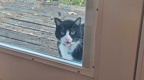 314924477 10158993246312078 7255871475644525149 n