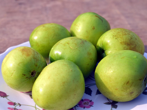 indian jujube 5944186 1920.jpg