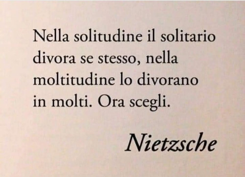 Immagine WhatsApp 2025 04 08 ore 07.18.45 be32767c.jpg