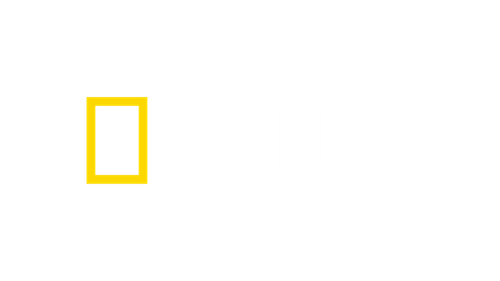das nat geo nat geo wild logo 1024x576.png