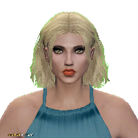 37f213de11bd.png