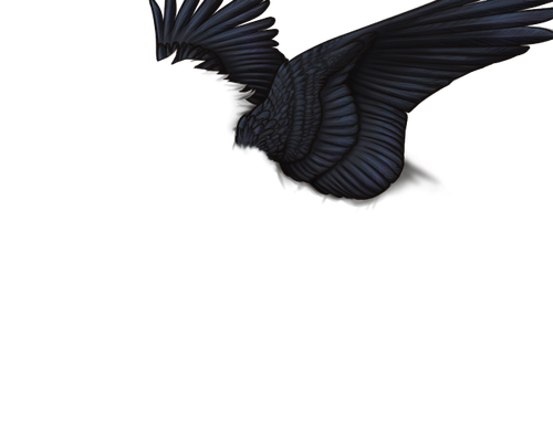 CrowWngs Enned Full.png