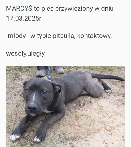 GoBfa4PWQAA1xuH.jpg