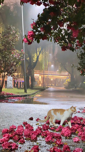 GoA7GoIbAAEyYj7.jpg